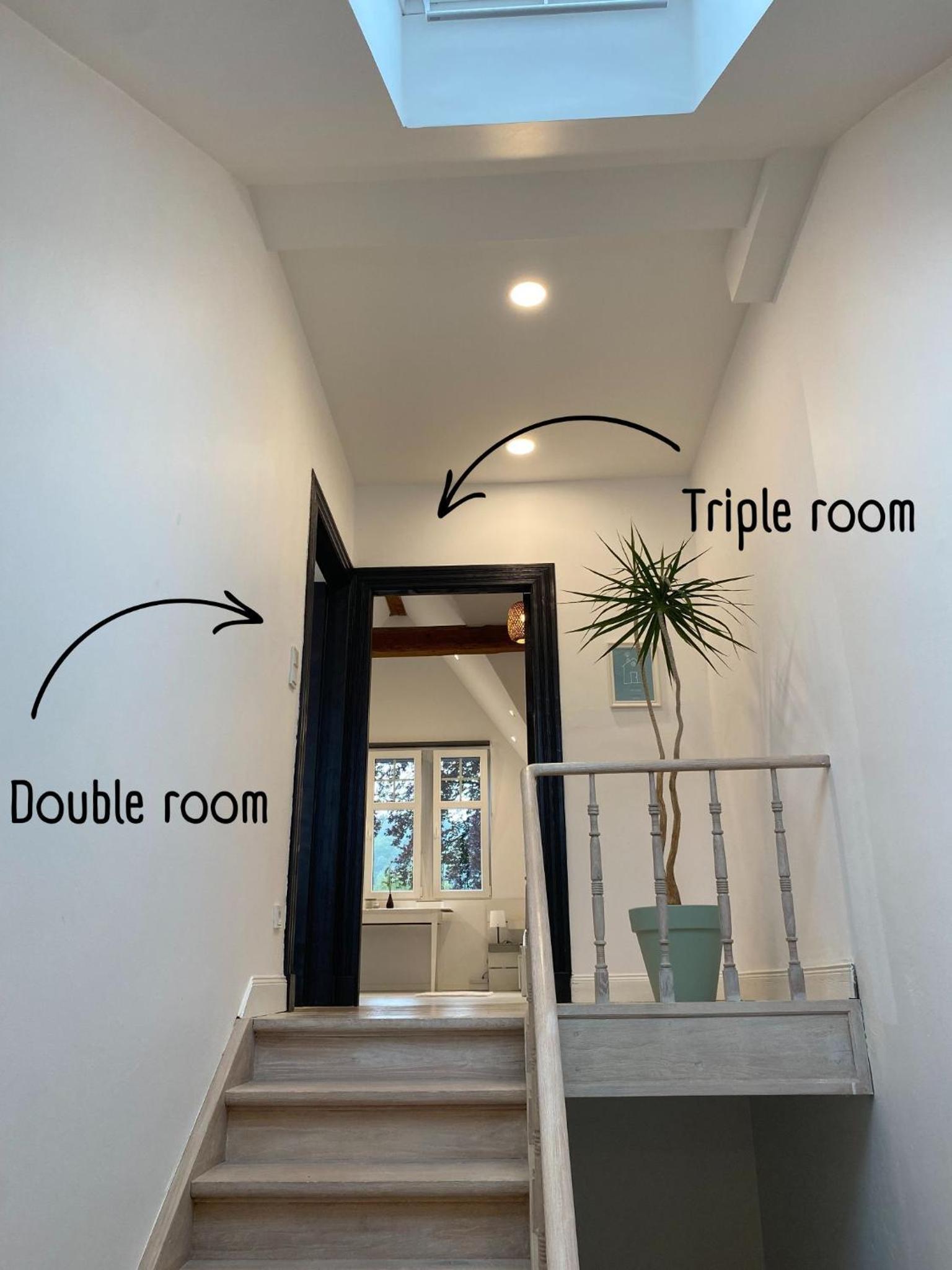 Old Town Suites