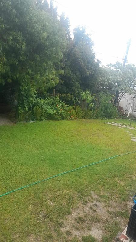 THE TREE HOUSE view 5