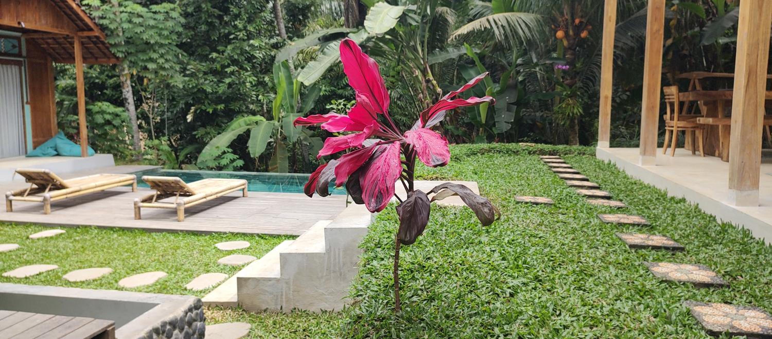 Rumah Guci