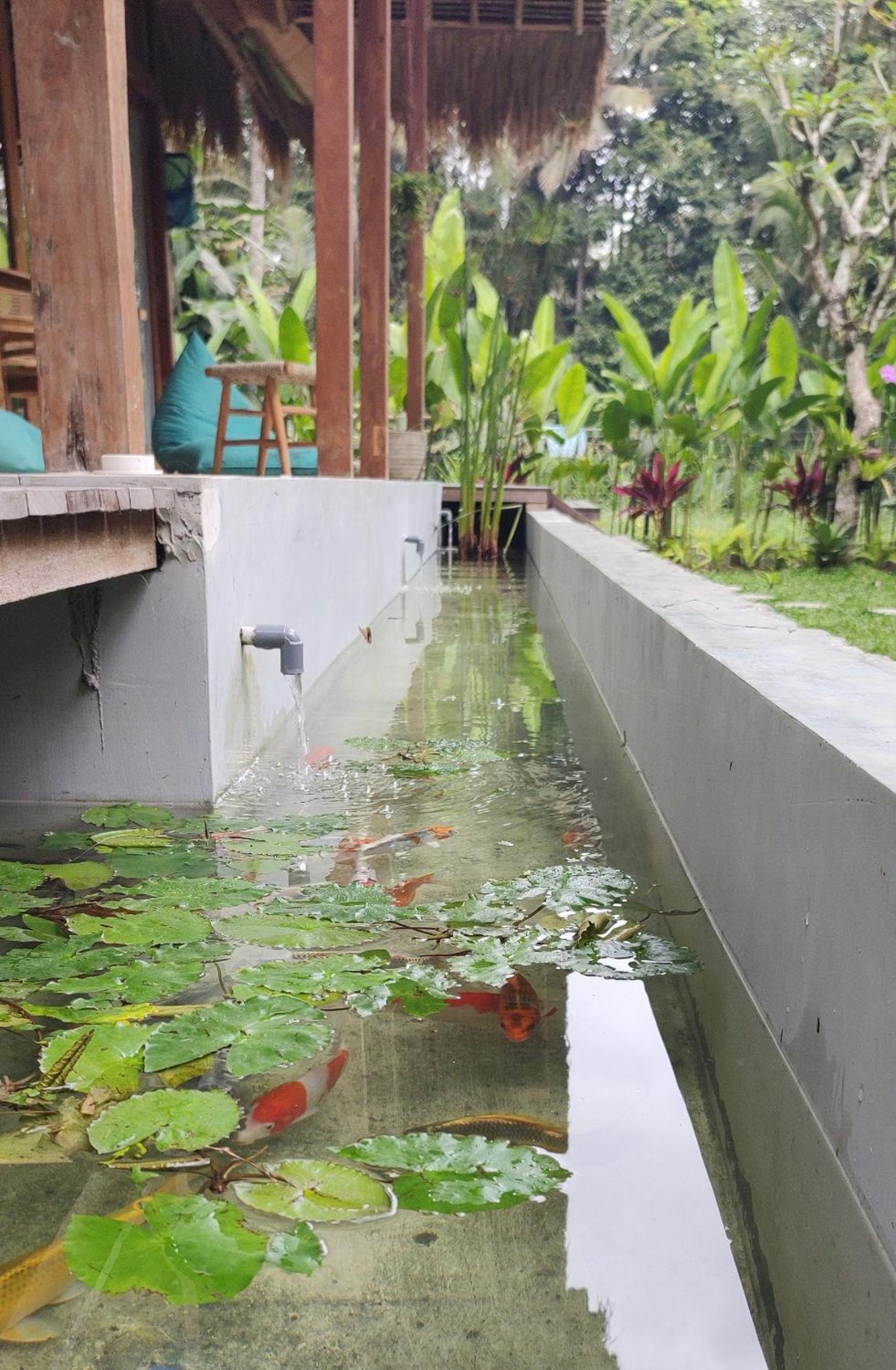 Rumah Guci
