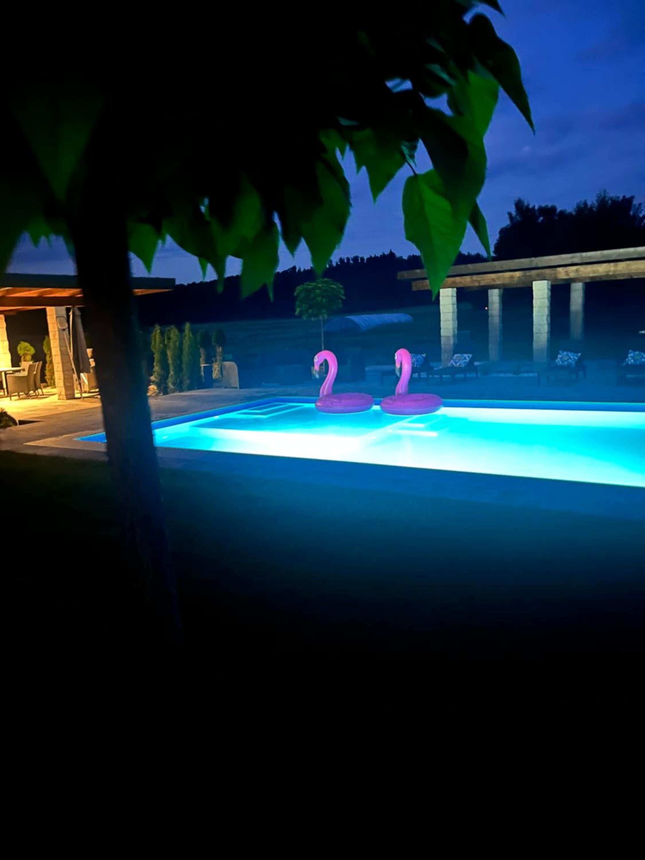 Sarnia Polana basen, jacuzzi, natura, photo 58