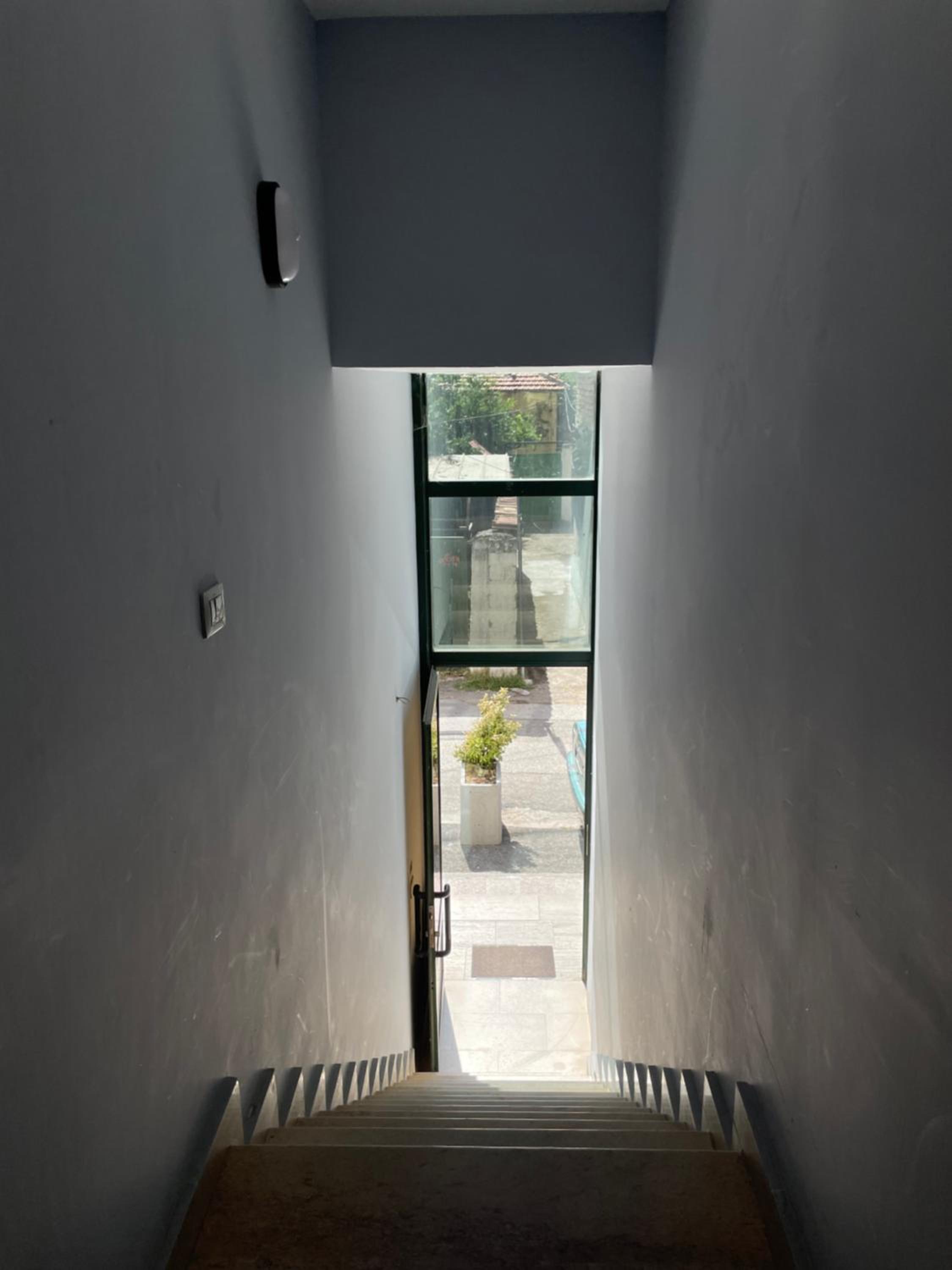 Tesa Studio