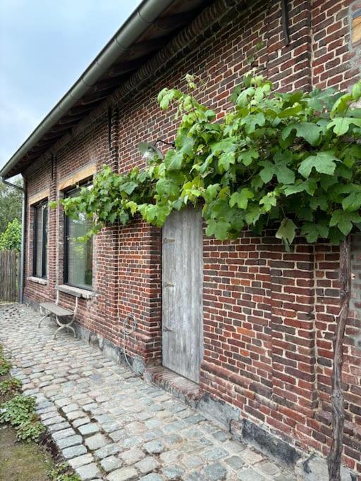 Barn47 Oudenaarde Vacation Home