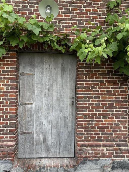 Barn47 Oudenaarde Vacation Home
