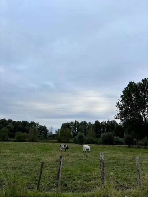 Barn47 Oudenaarde Vacation Home