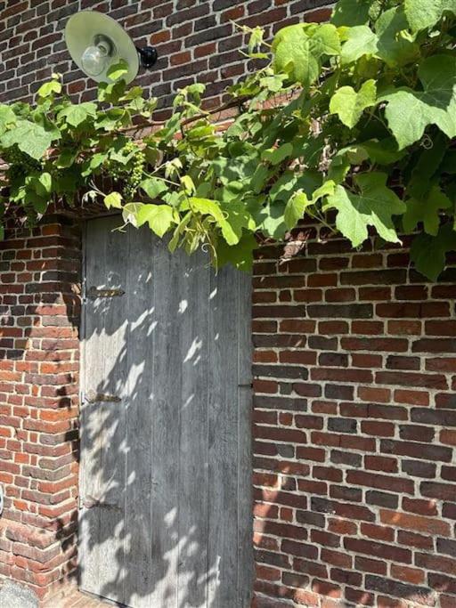 Barn47 Oudenaarde Vacation Home