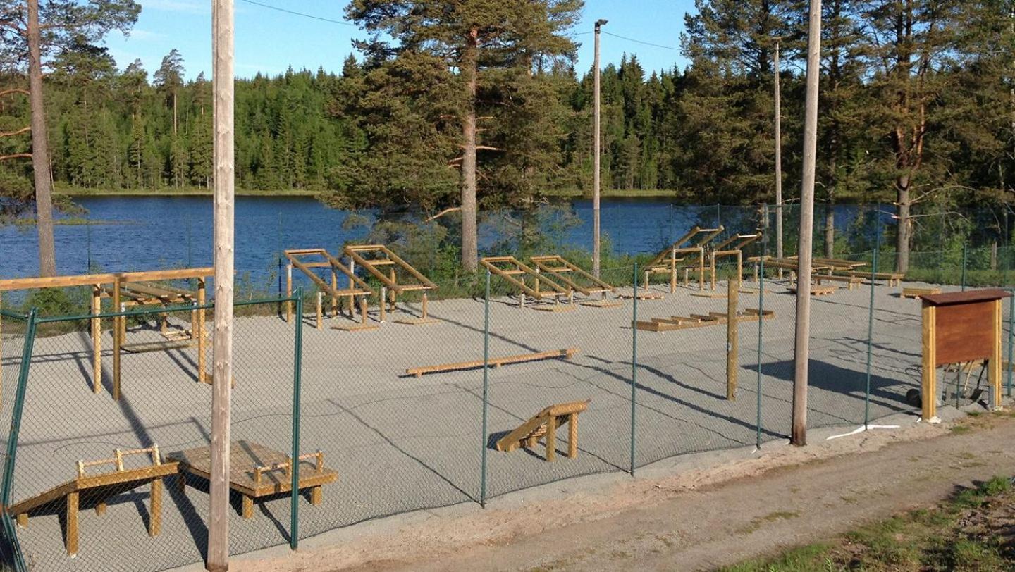Photo 25