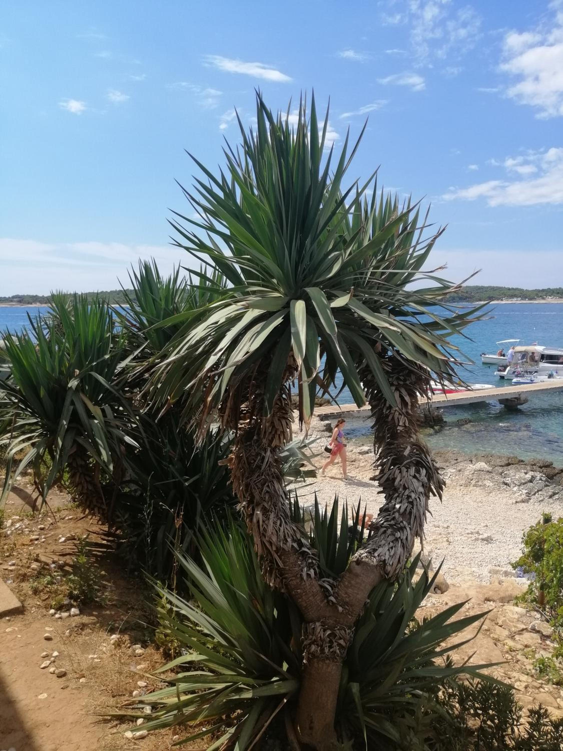 Apartments KiKa