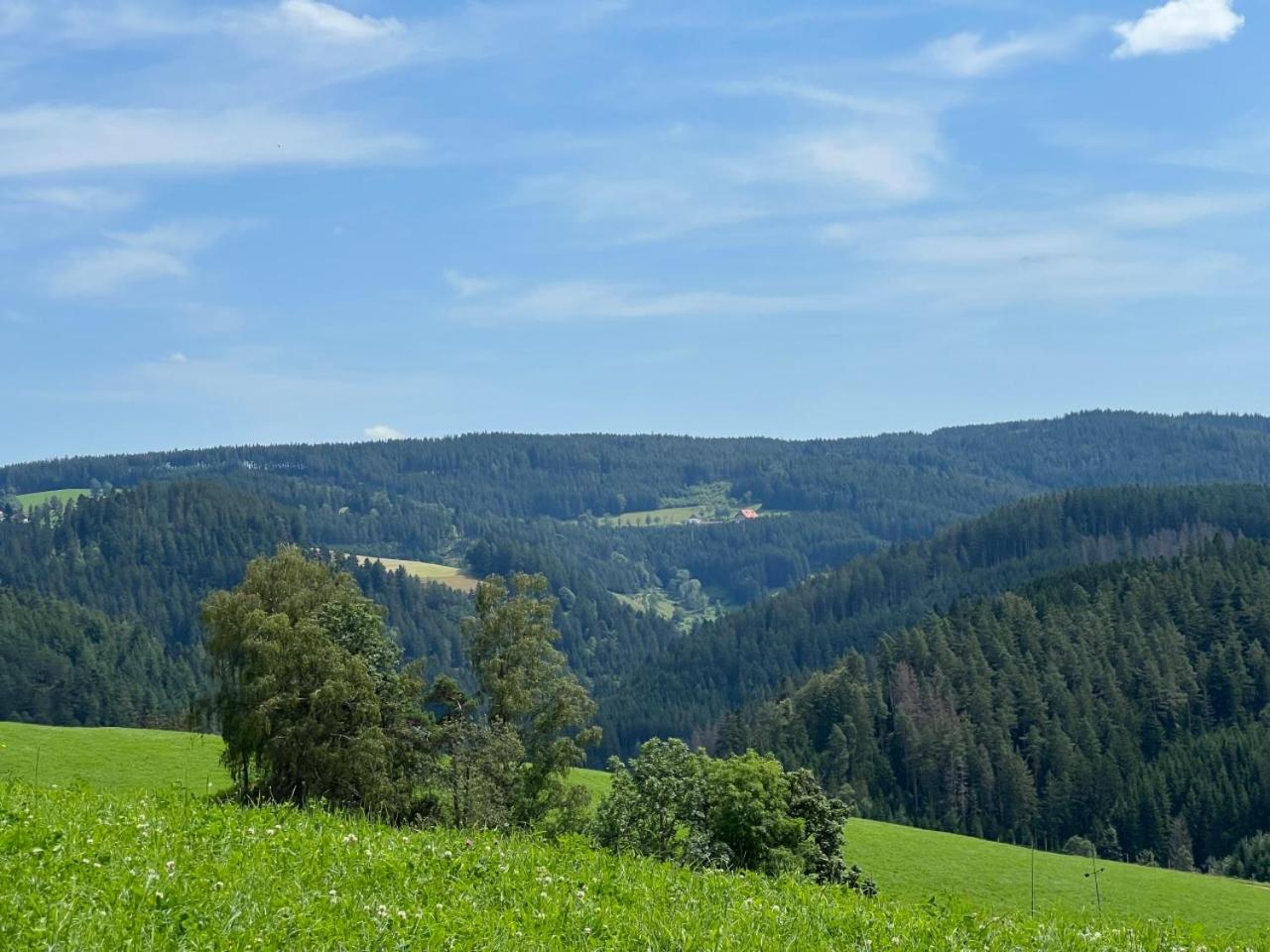 Landhaus Valentin, photo 67
