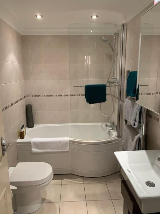 One bed flat close to Exeter centre view 5