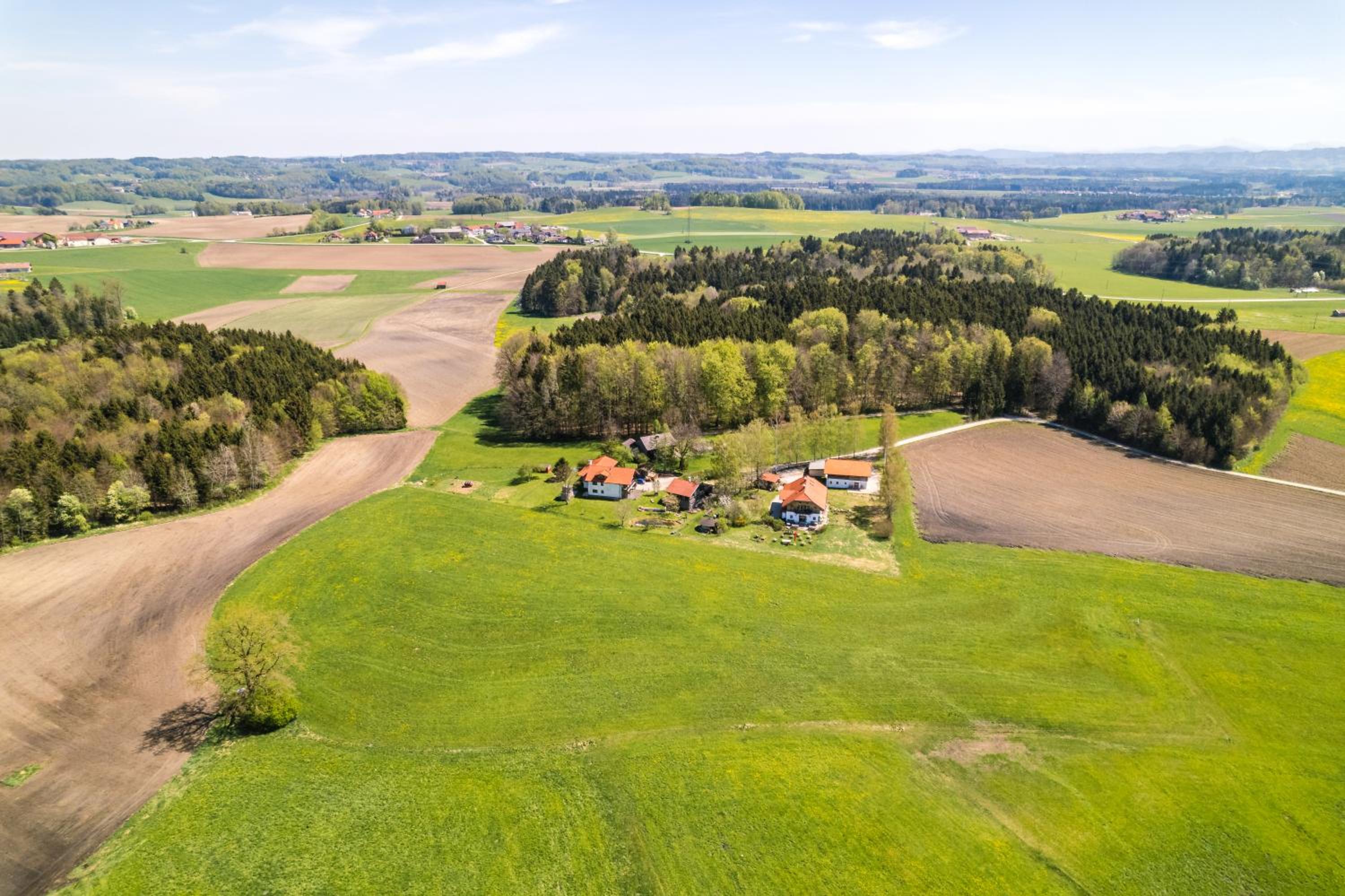 Koanzhaus, Troadkasten