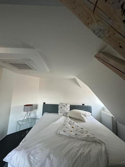 Panorama Penthouse in wunderschöner Villa