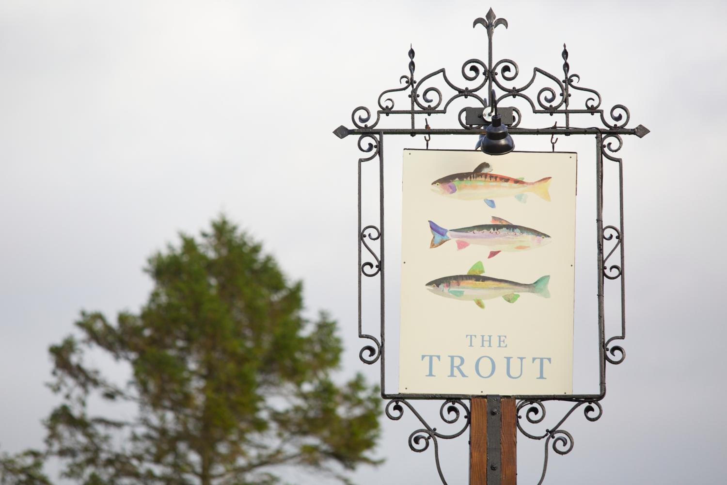 The Trout at Tadpole Bridge
