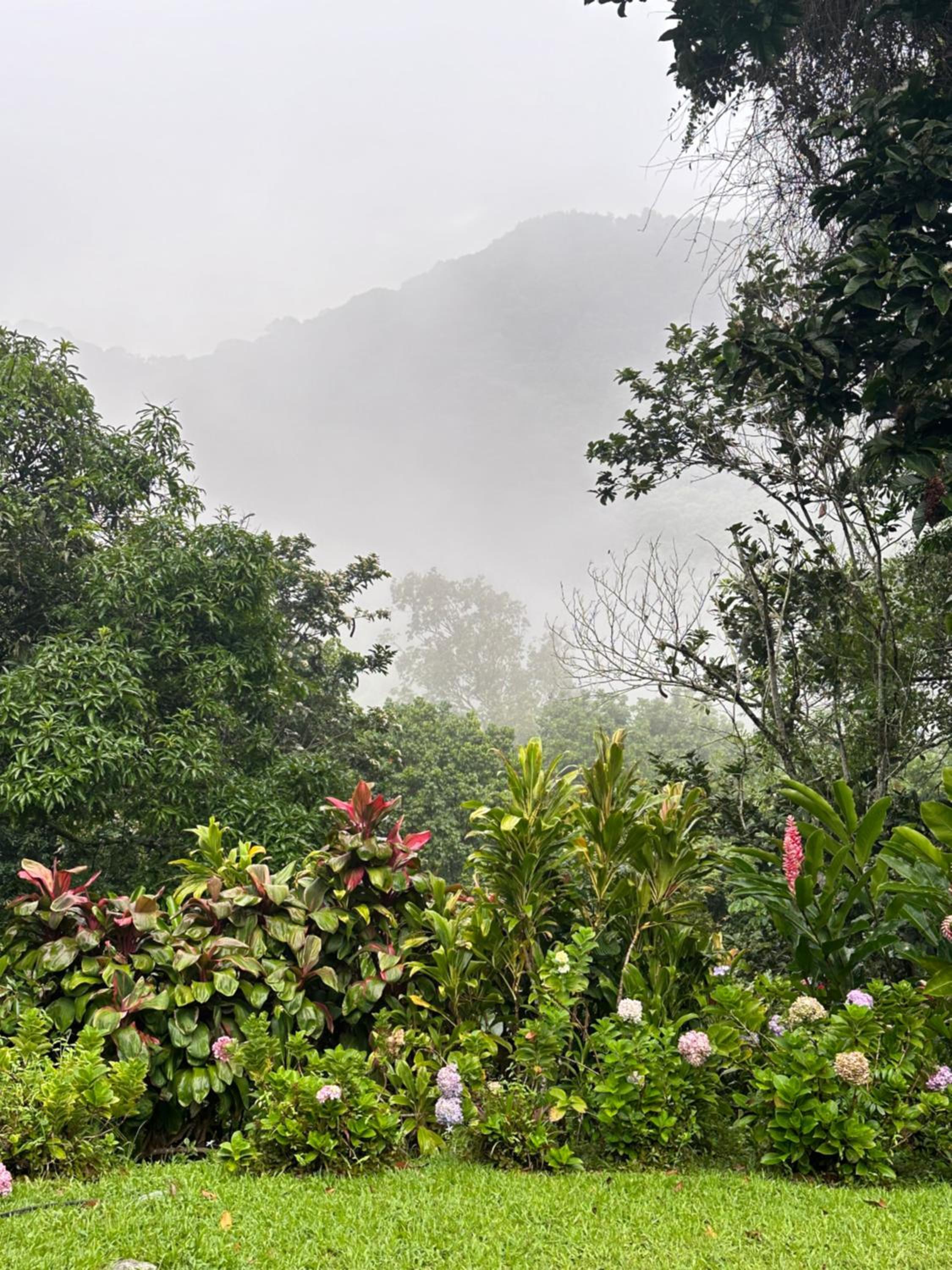 Casa Arimaca, Minca, Sierra Nevada de Santa Marta