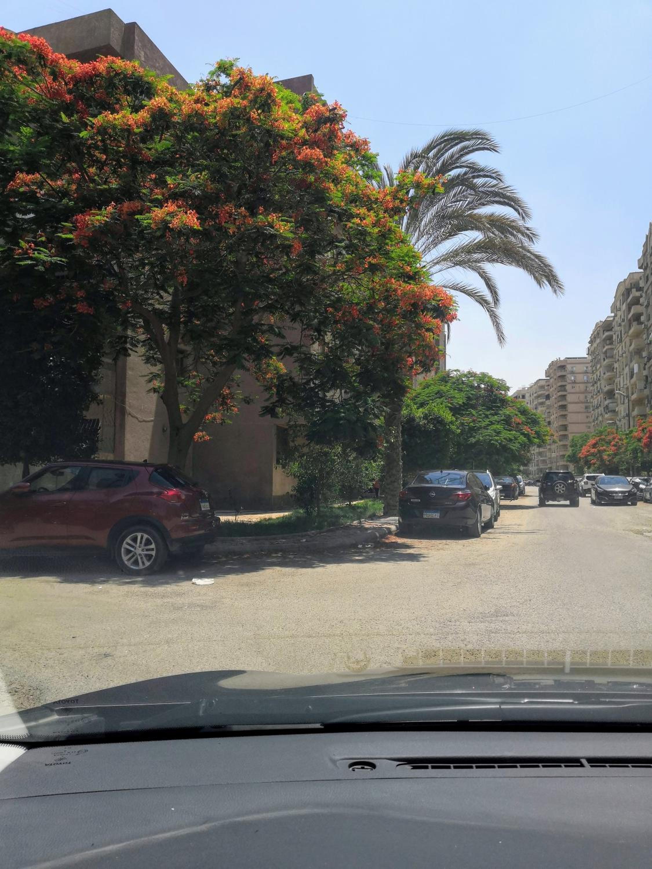 parking