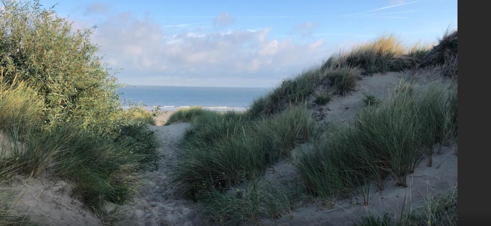 Vacances relax à Bredene