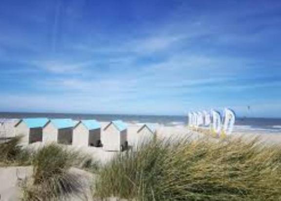 Vacances relax à Bredene