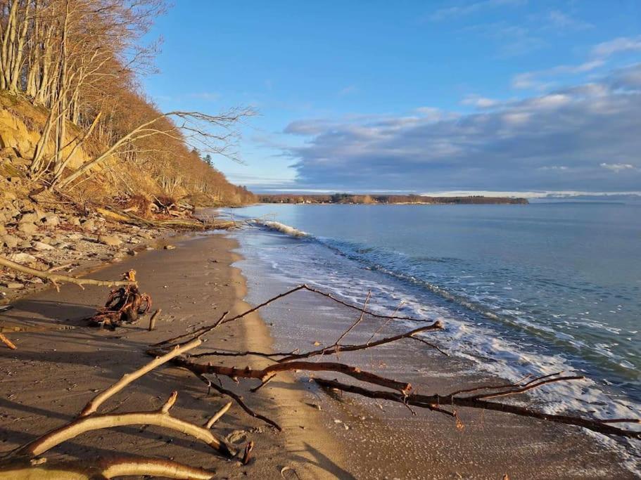 Close to Hesnæs forest and beach
