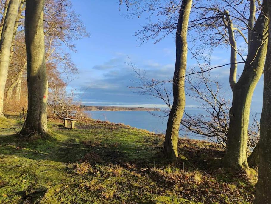 Close to Hesnæs forest and beach