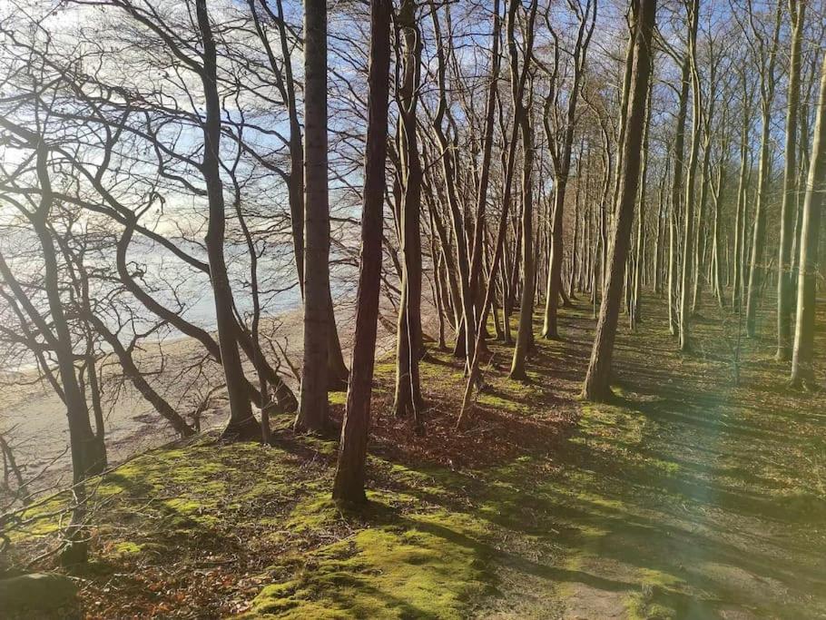 Close to Hesnæs forest and beach