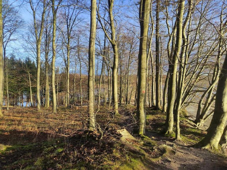 Close to Hesnæs forest and beach