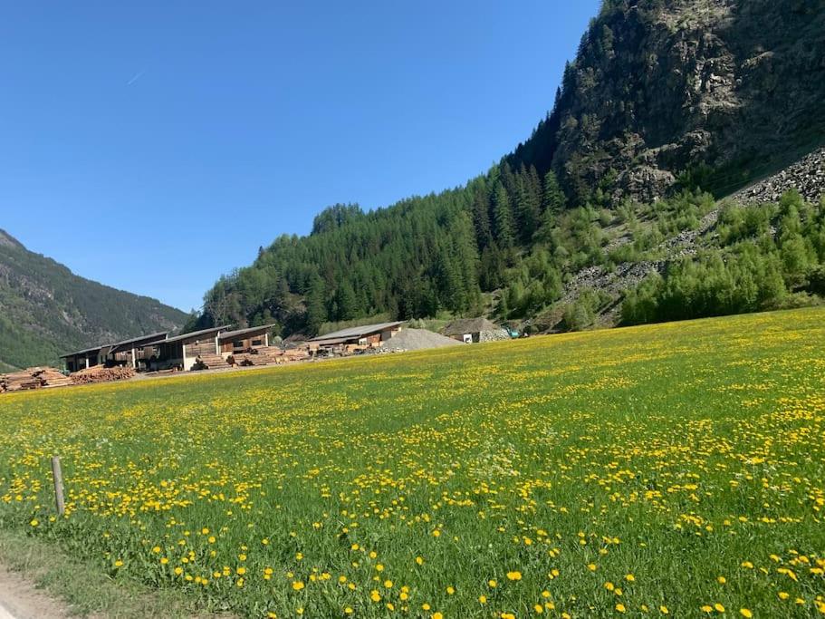 New Penthouse near Sölden - Runhof Top11