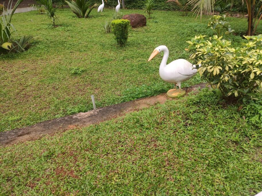 Heaven homestay