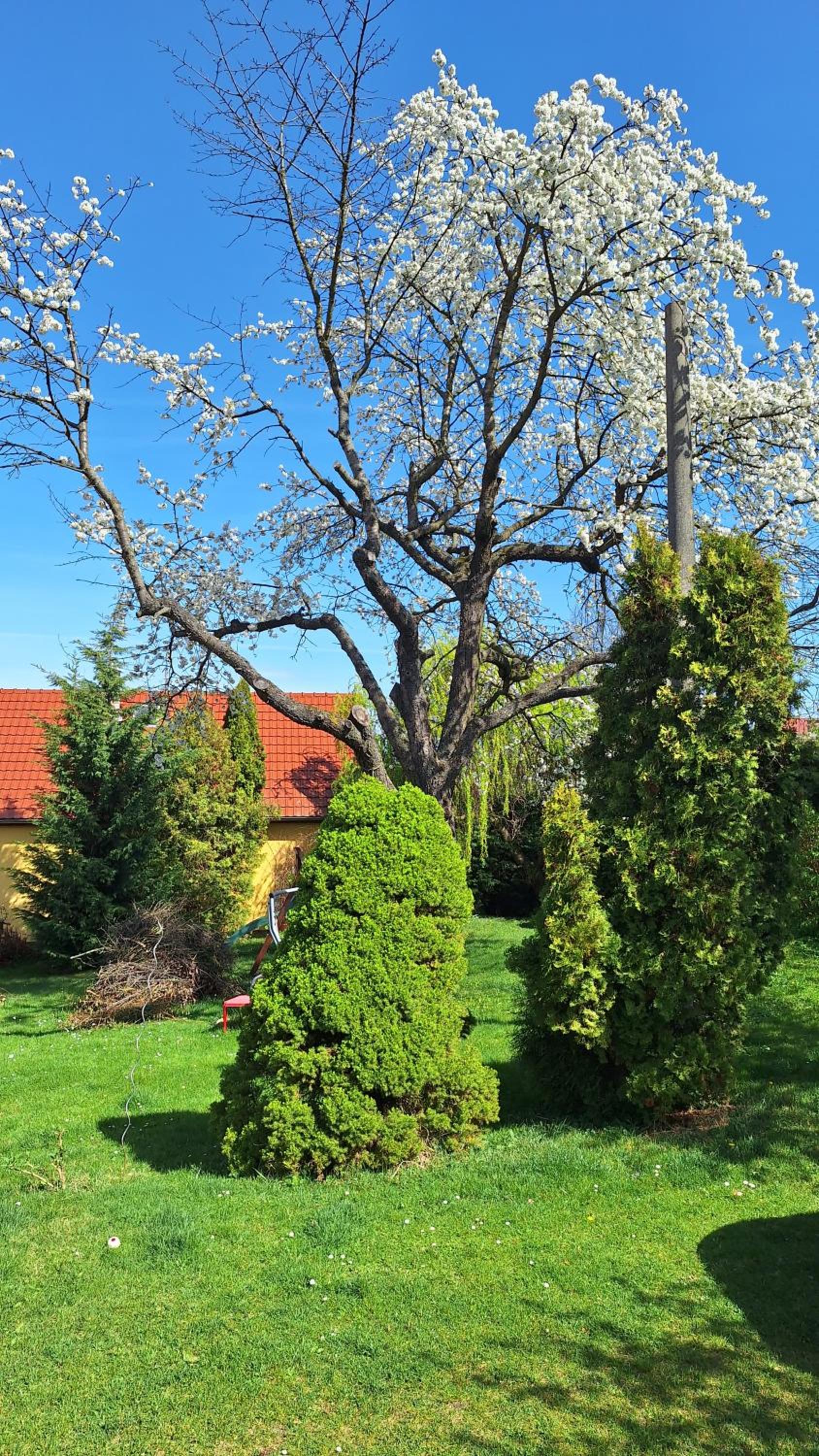 Prague Zbraslav Old Garden
