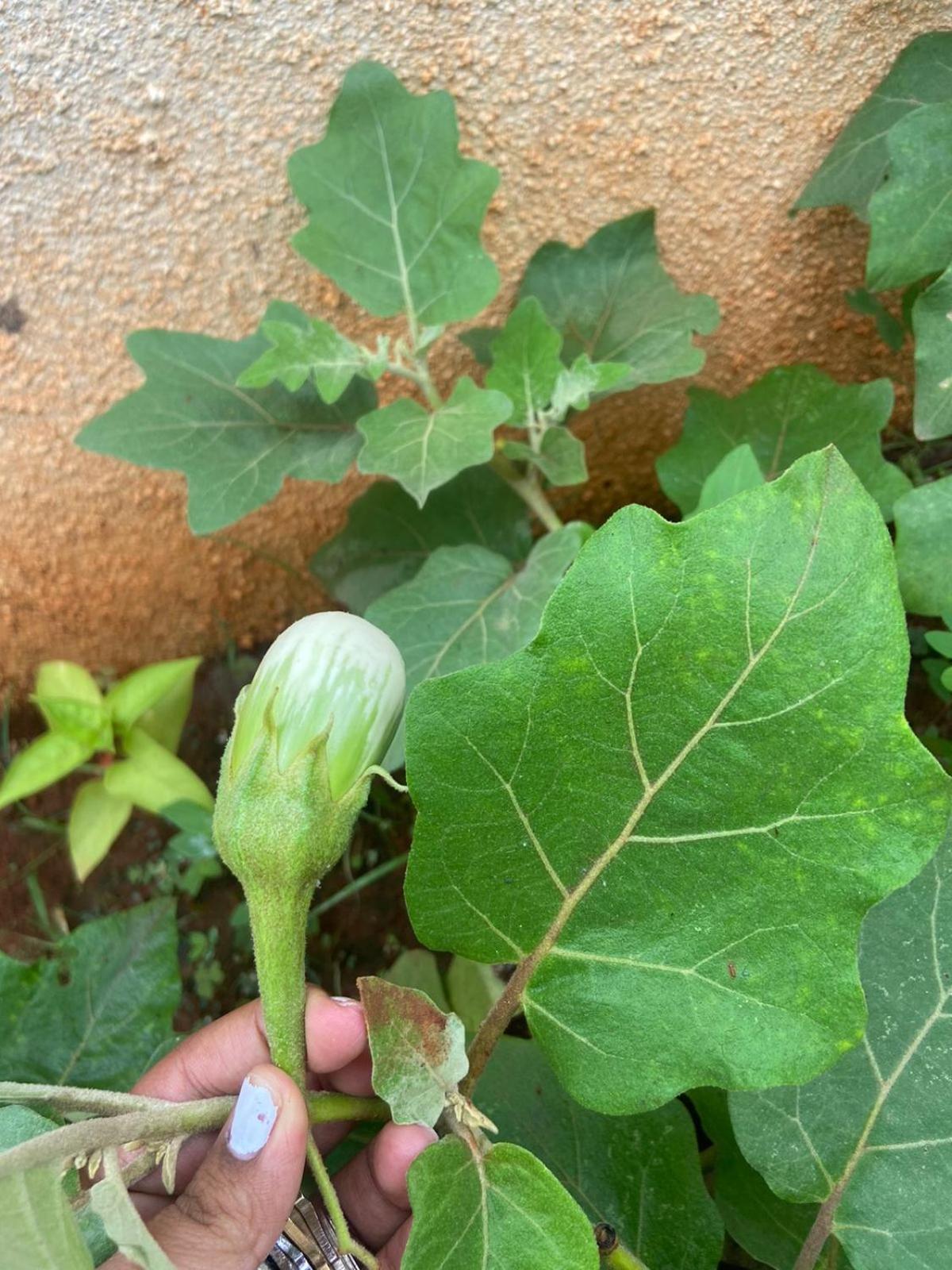 Bhaktivilla
