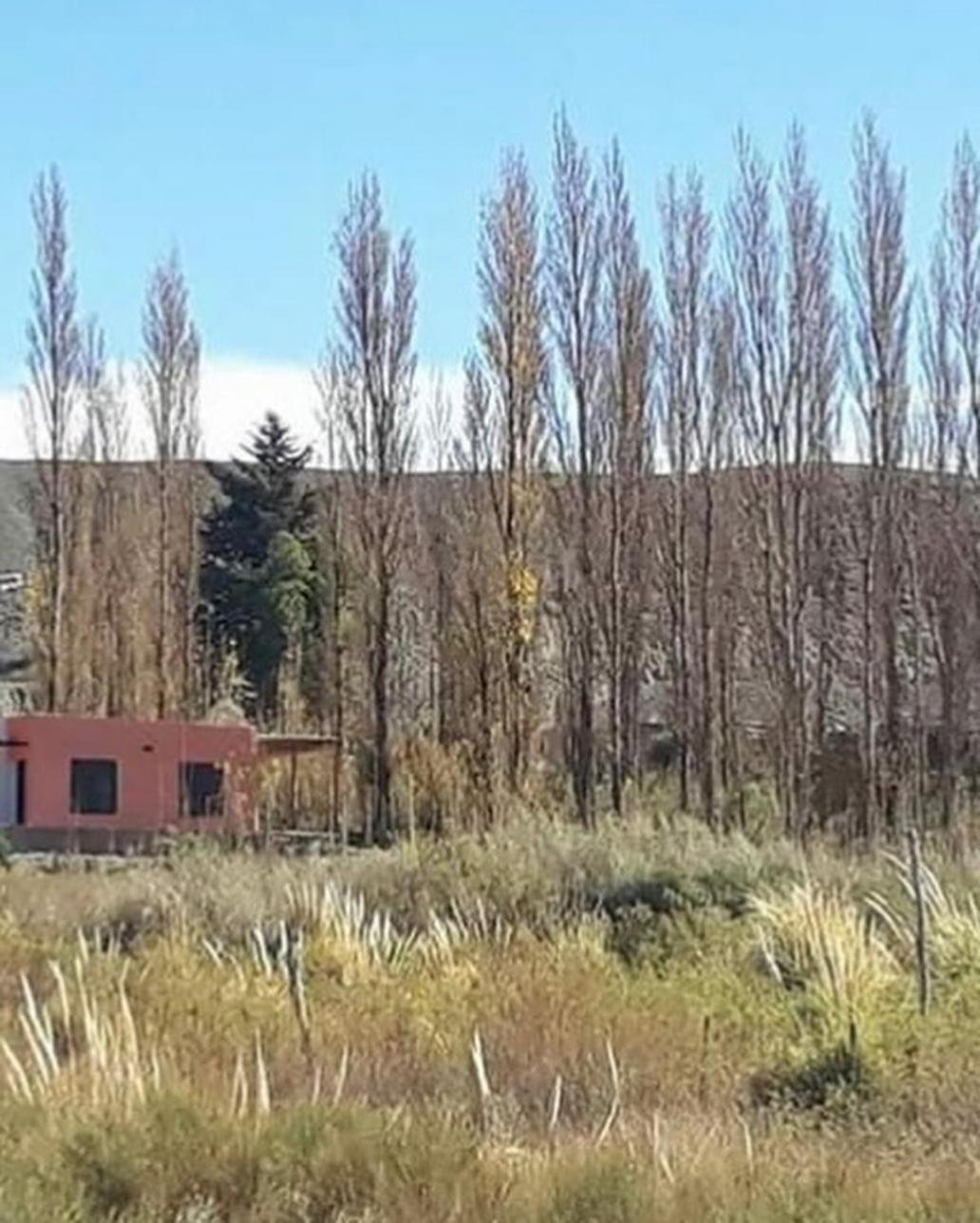 Chez-Jelú