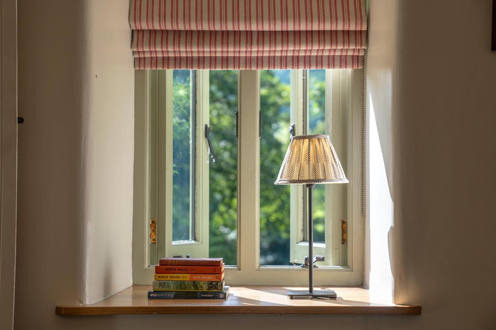 Glanrhyd cottage view 5