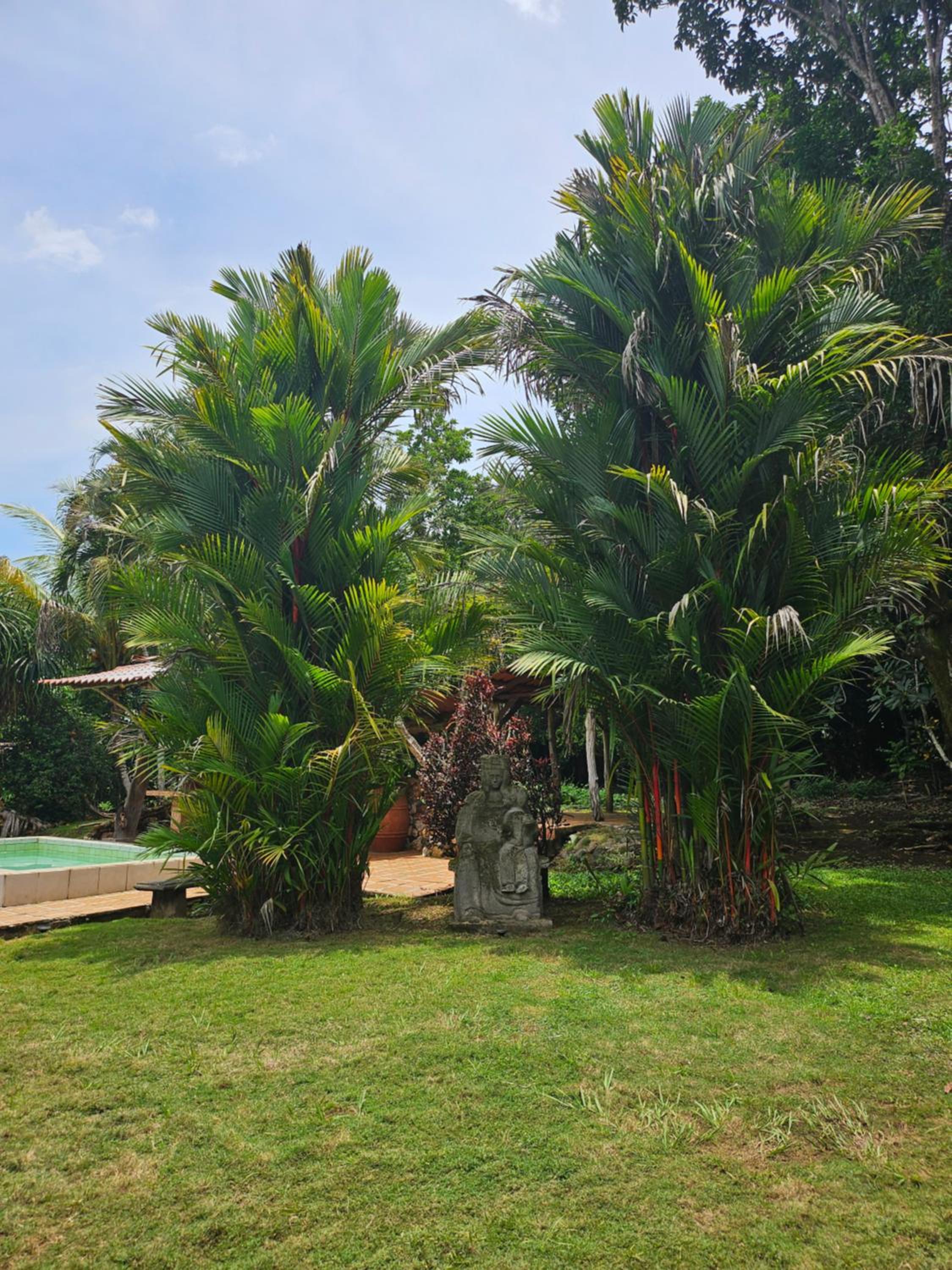 Villa Thuja, 3B, place for a relaxing getaway