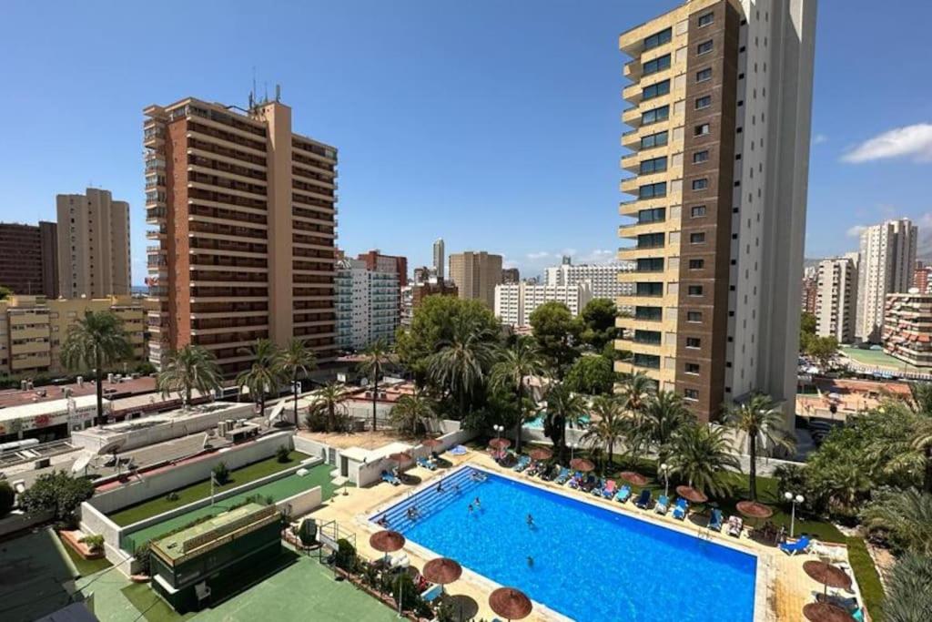 Apartment - studio Bermudas