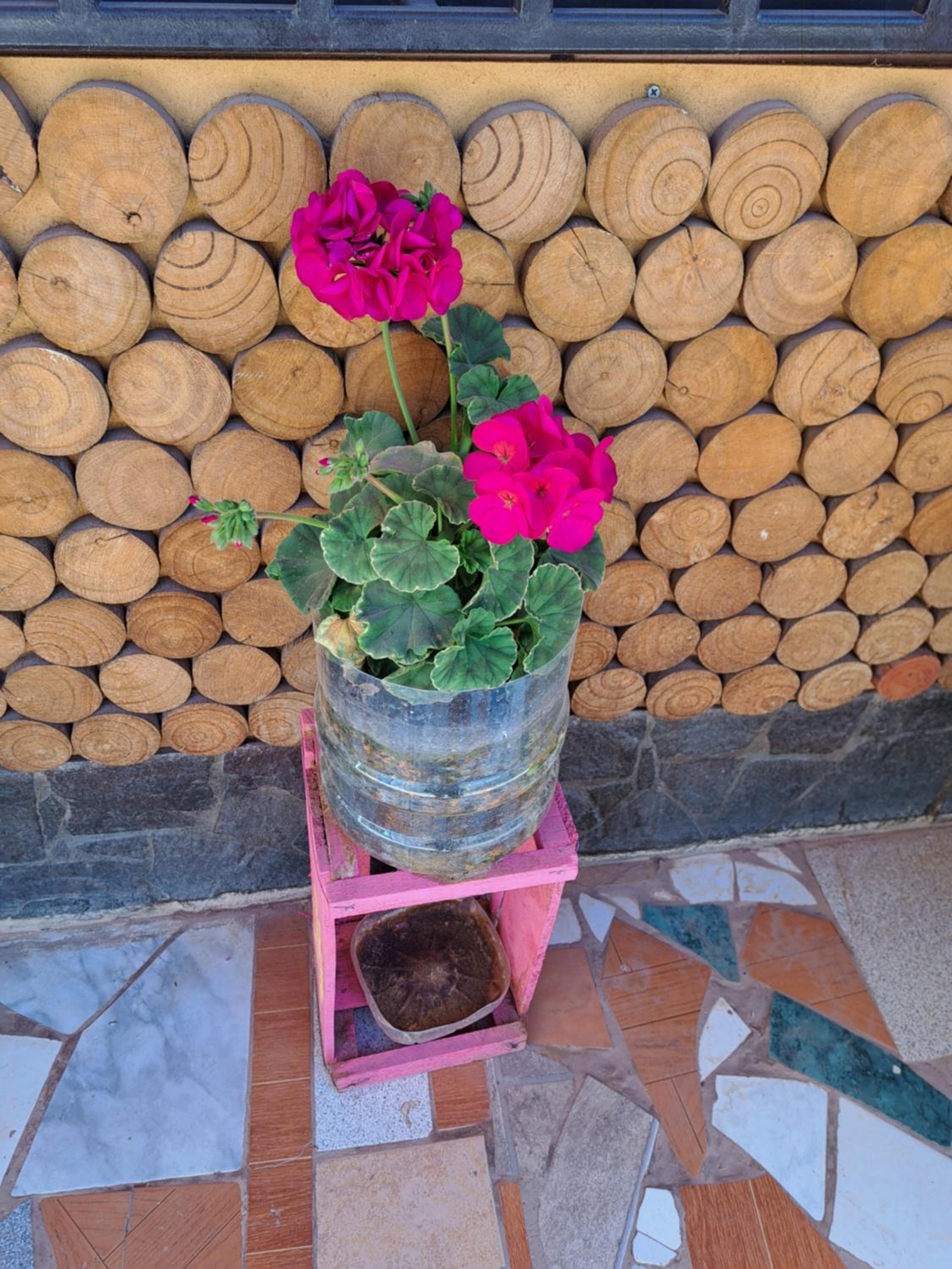 Hostal El Amigo Lucho