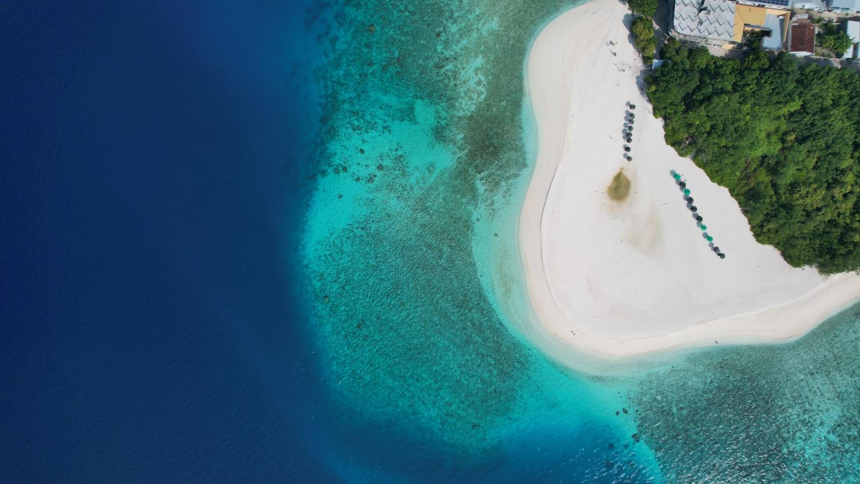 La Palma Suites photo 5