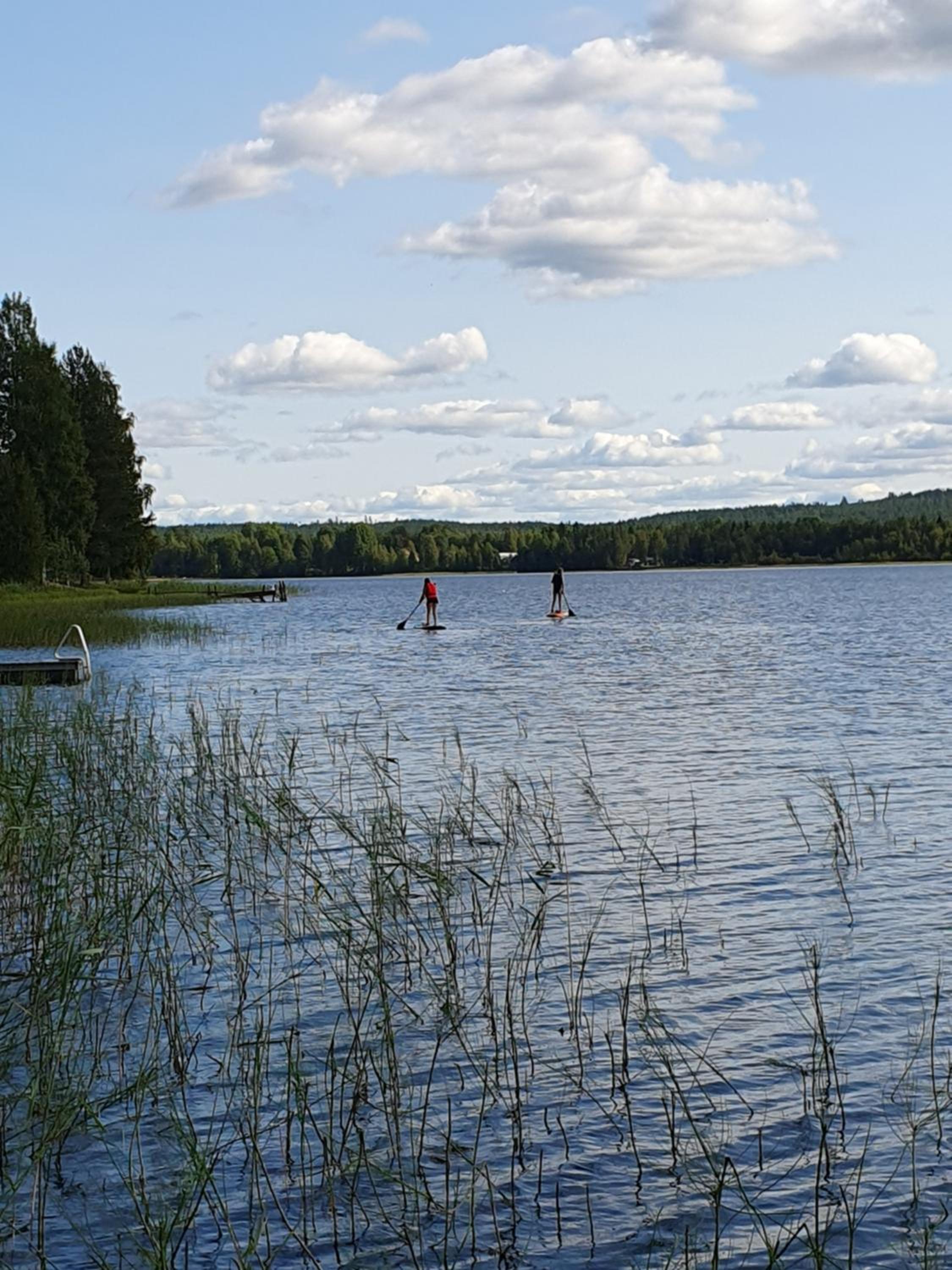 Pieni Katajaranta