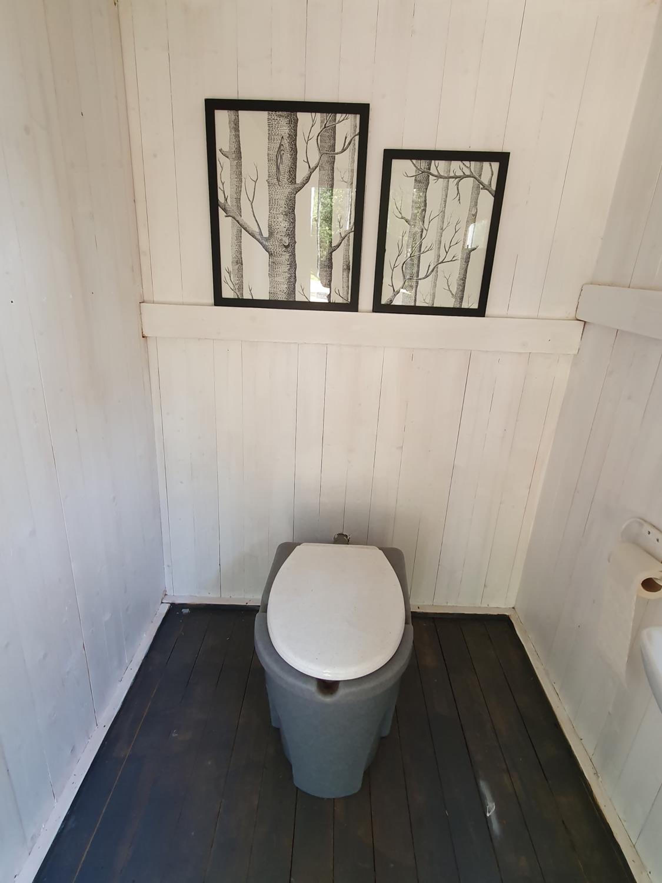 Pieni Katajaranta