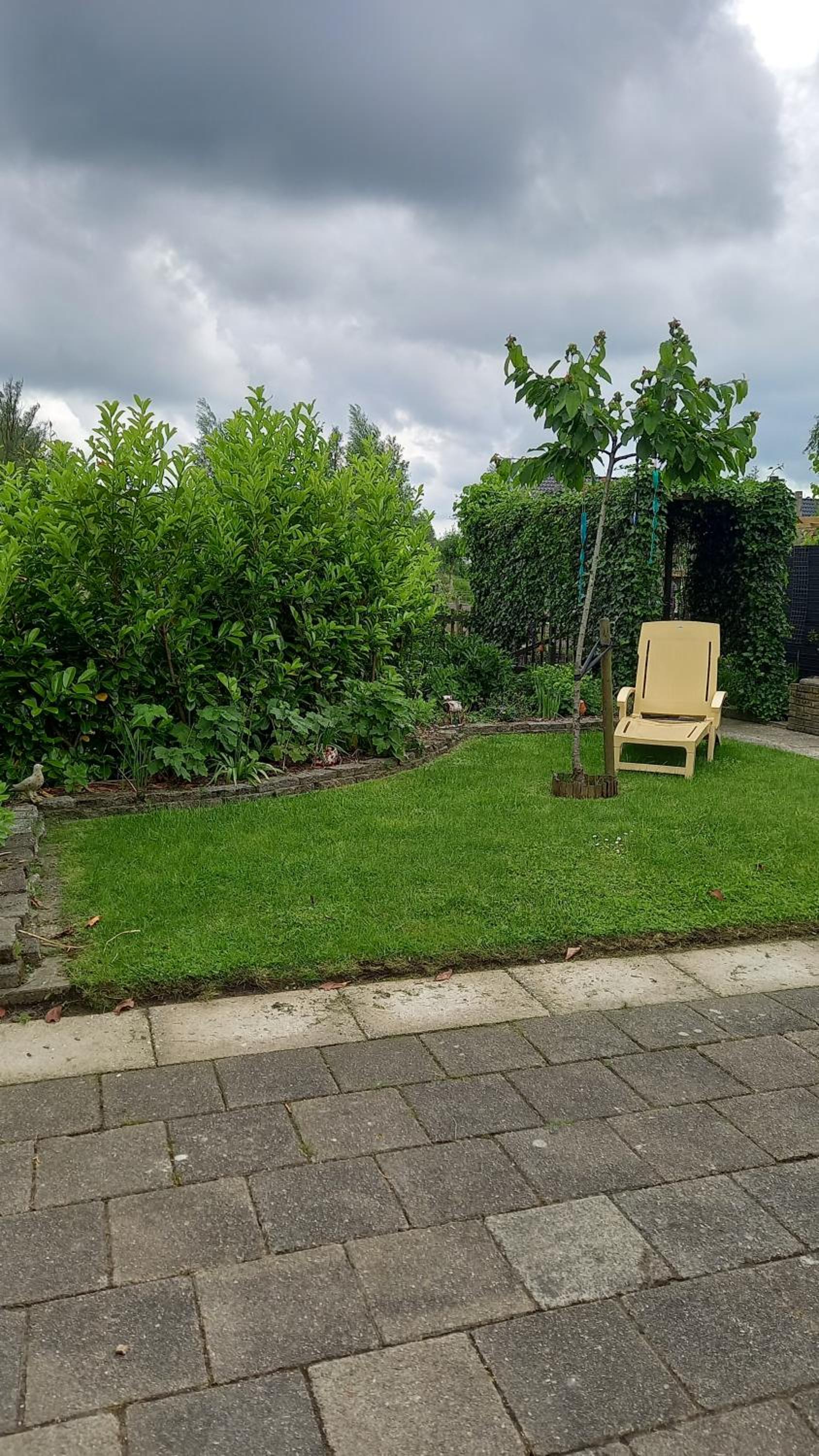 Photo 14