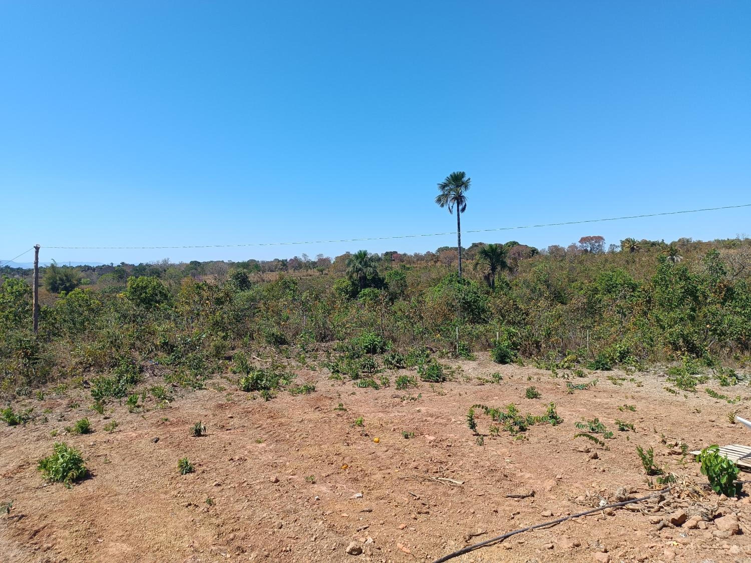 Rancho Buriti das Araras