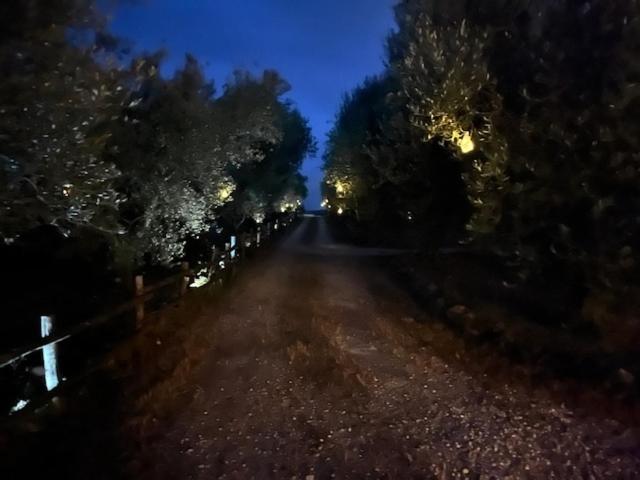 Fattoria Iluigi