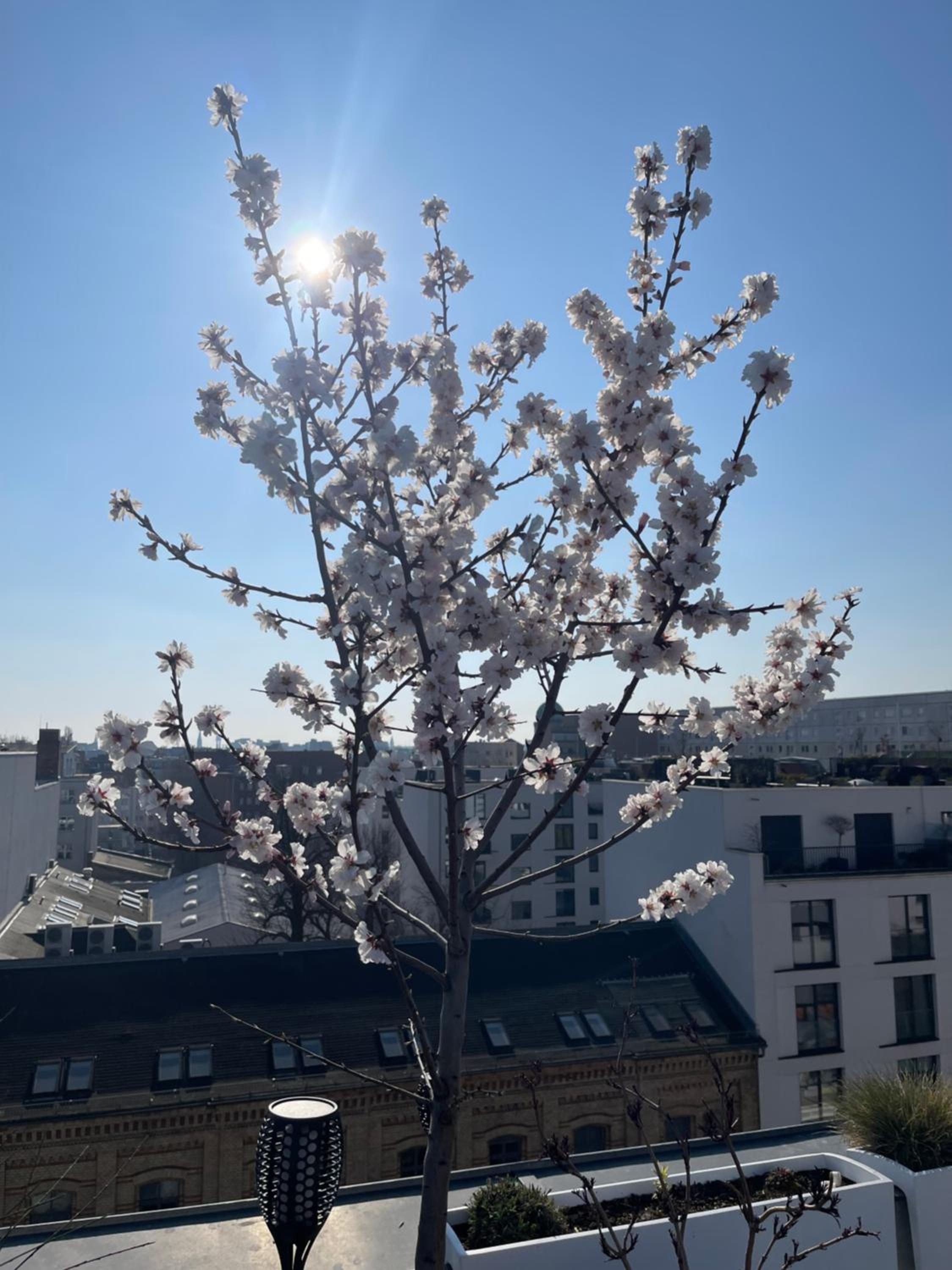Penthouse living Berlin Mitte