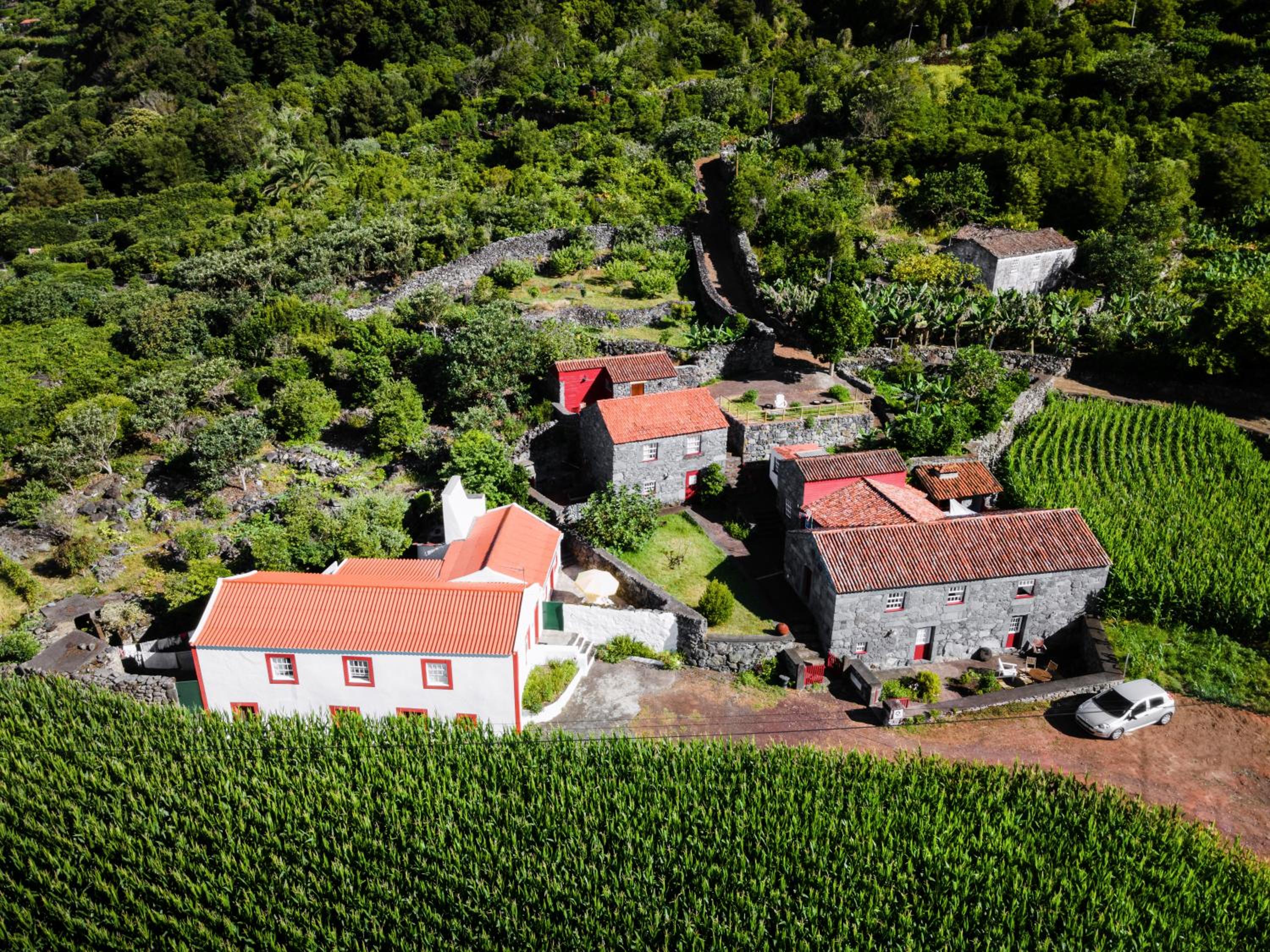 Casas Dos Vimes