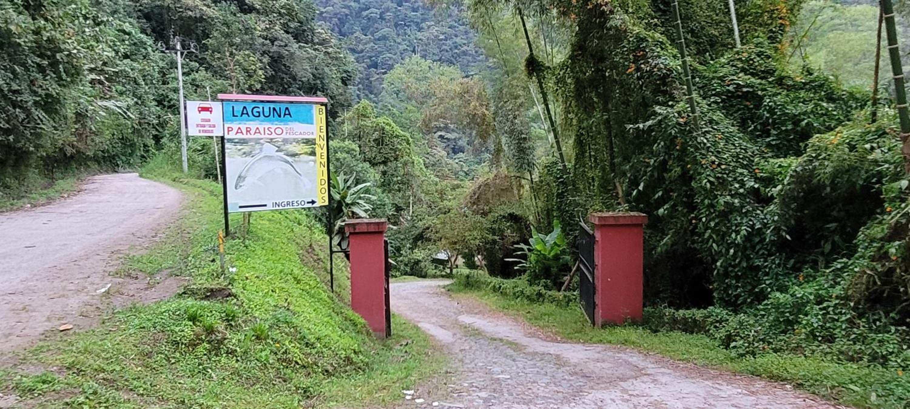 Bosque Secreto - Private Cabin and Camping view 2