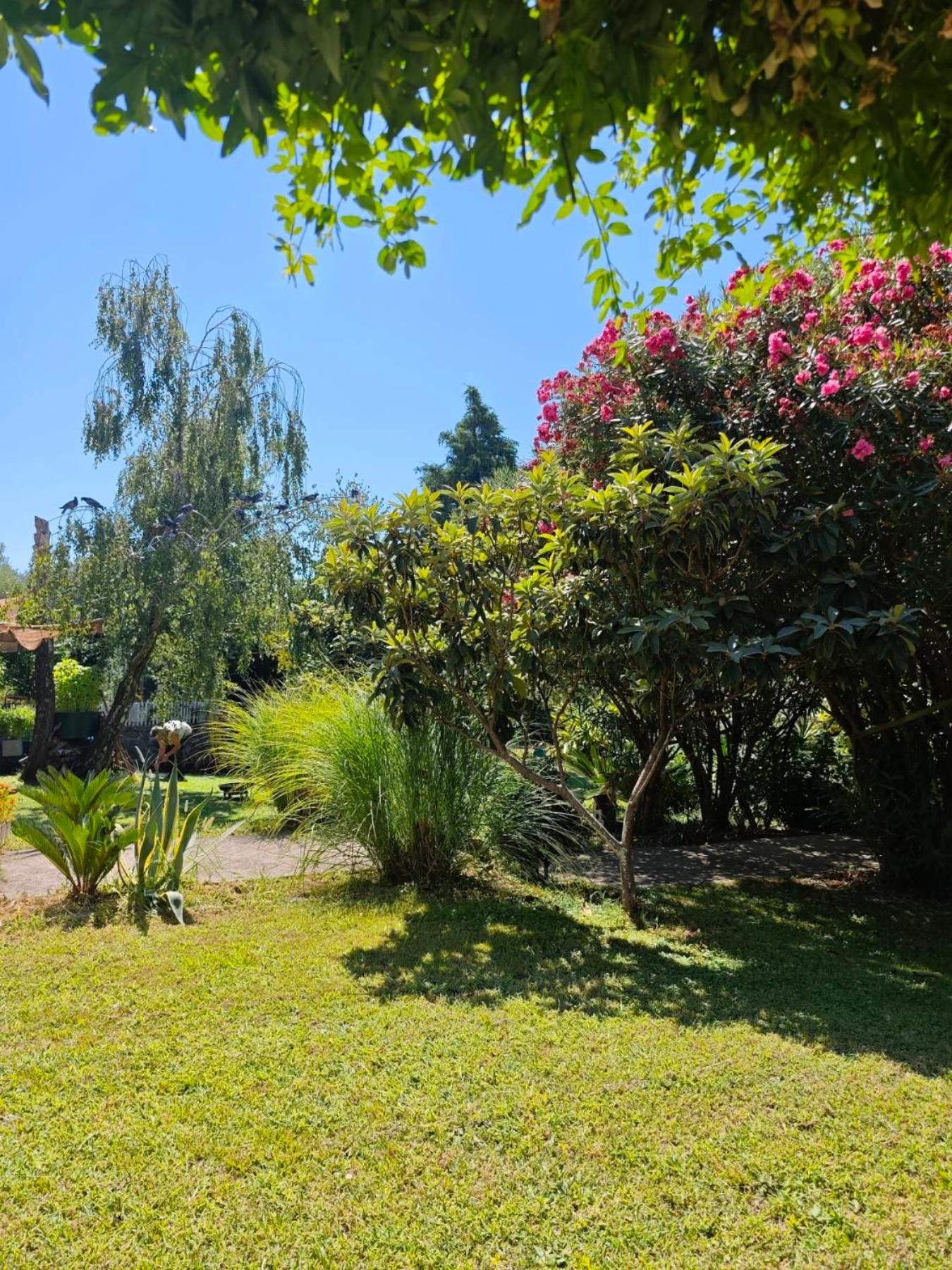 Mirta Apartment photo 3