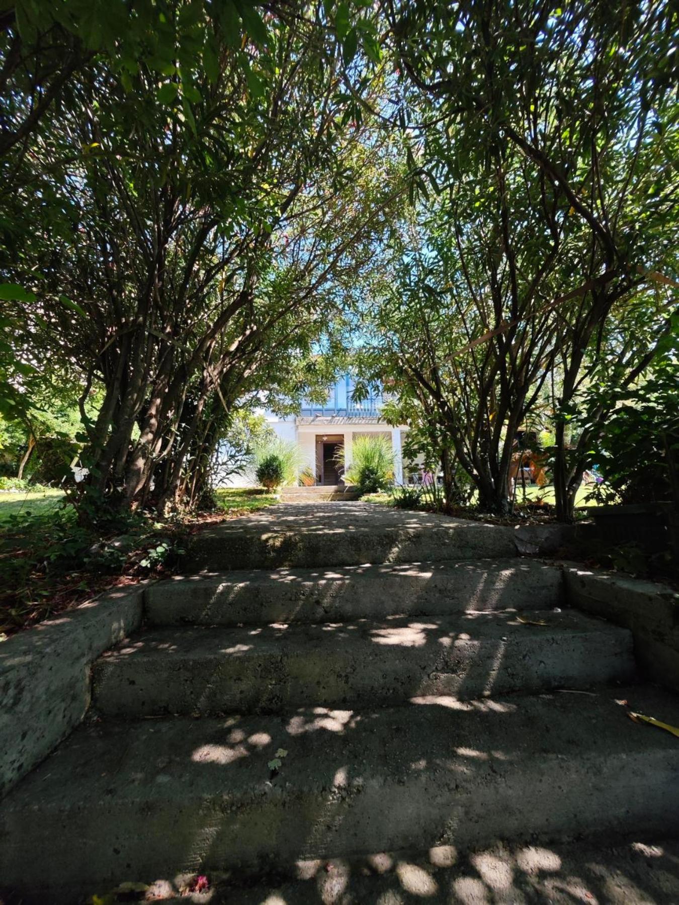 Mirta Apartment photo 2