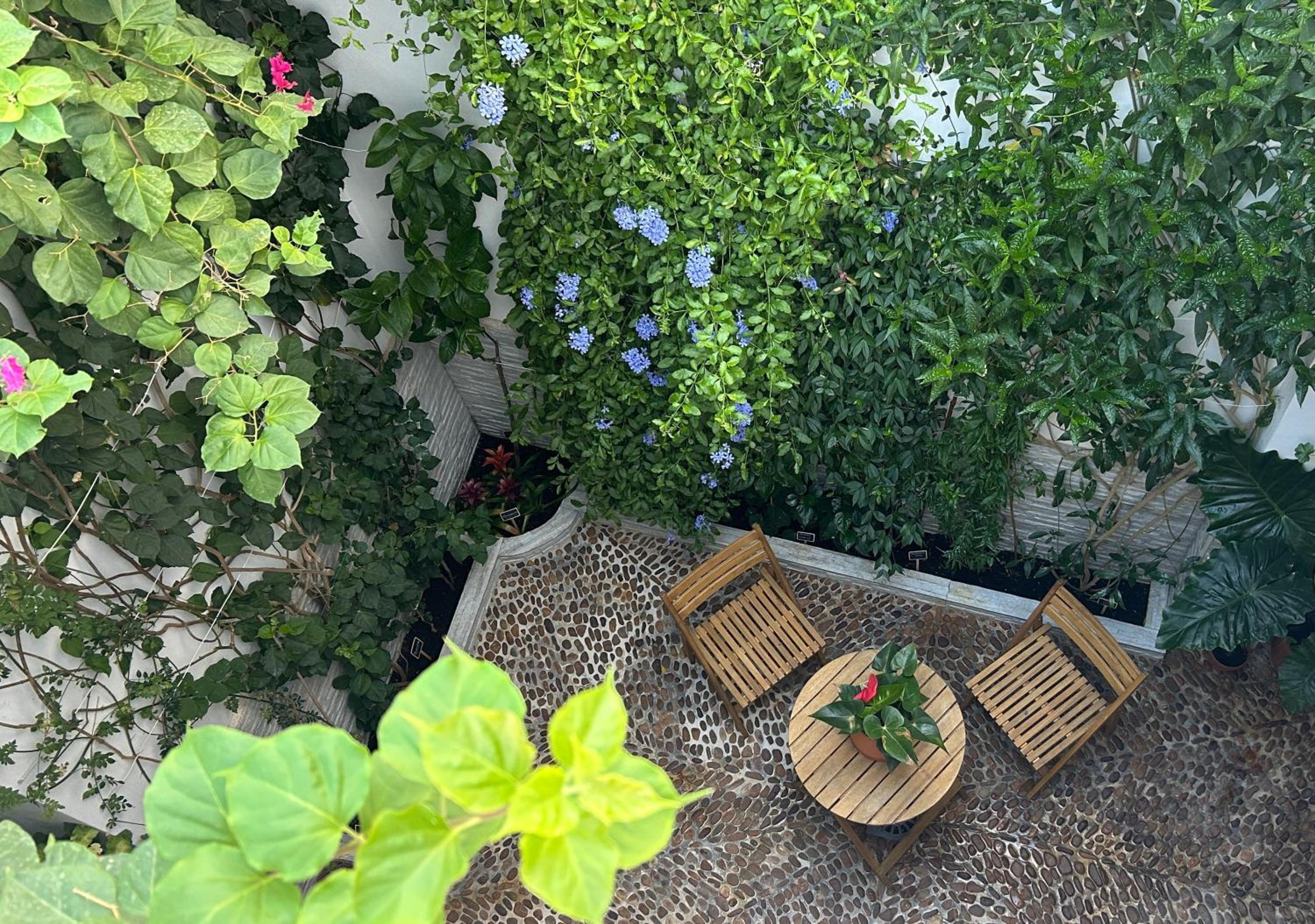 Leyendas en la Axerquía