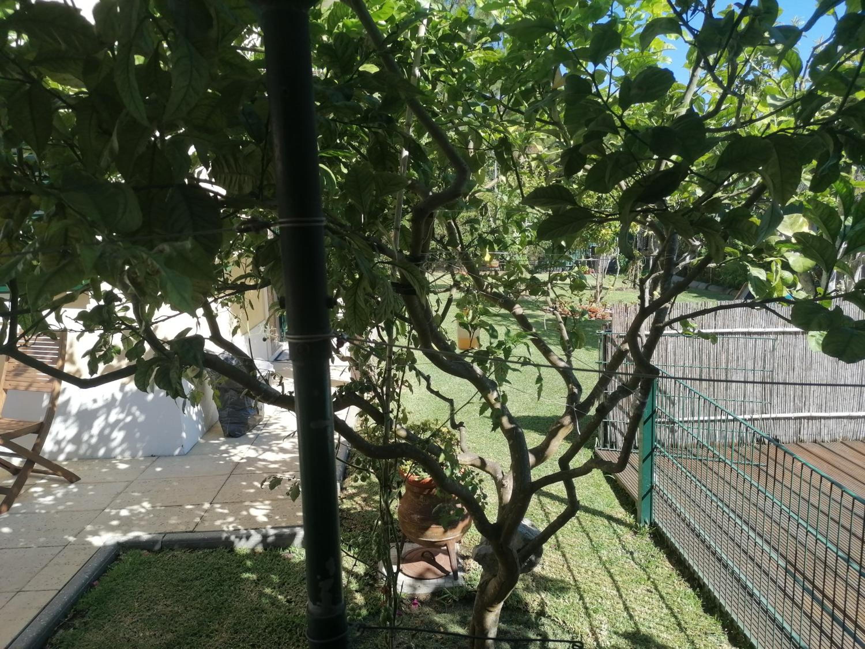 Lagoa House Albufeira view 5