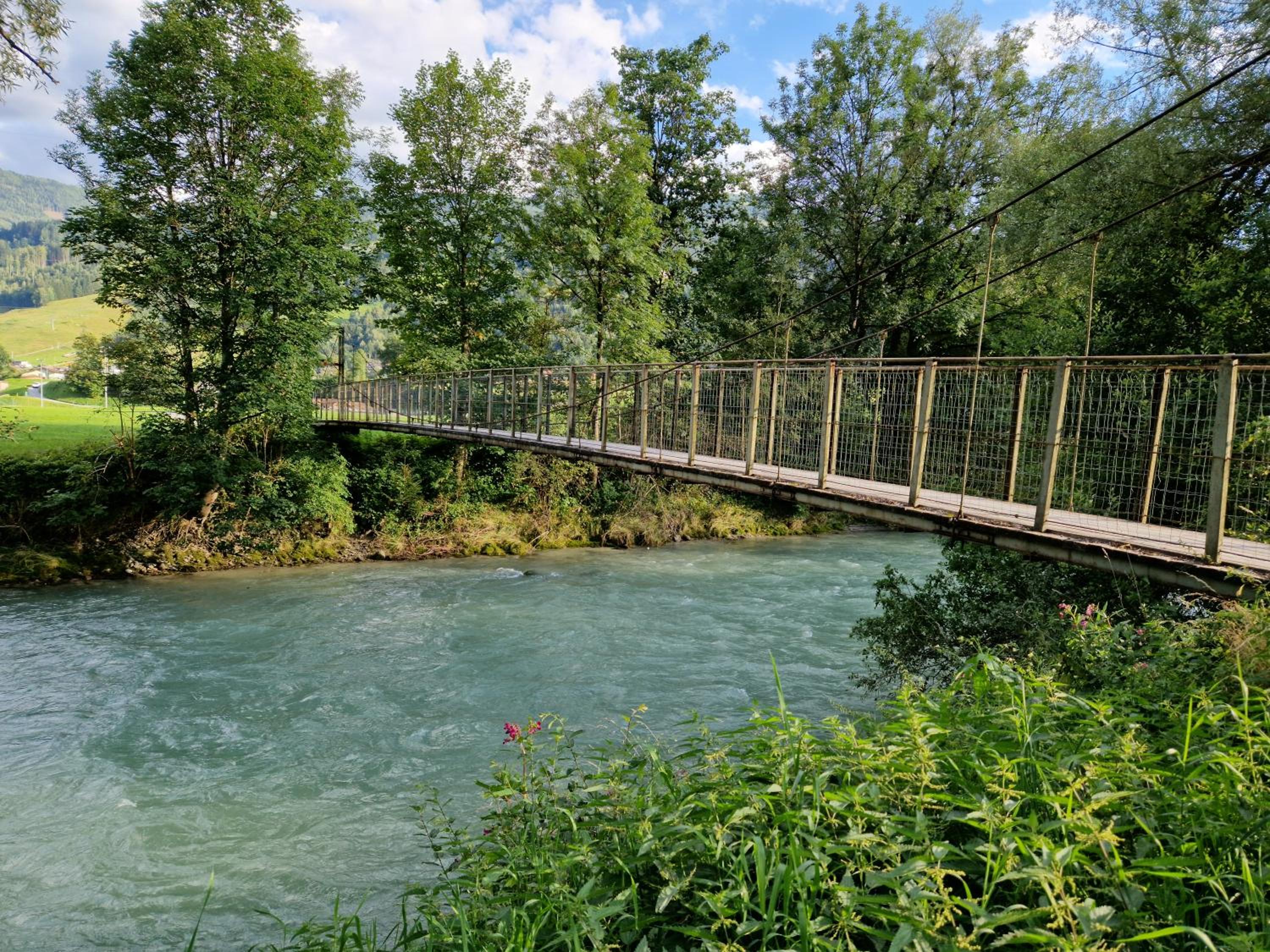 Photo 42