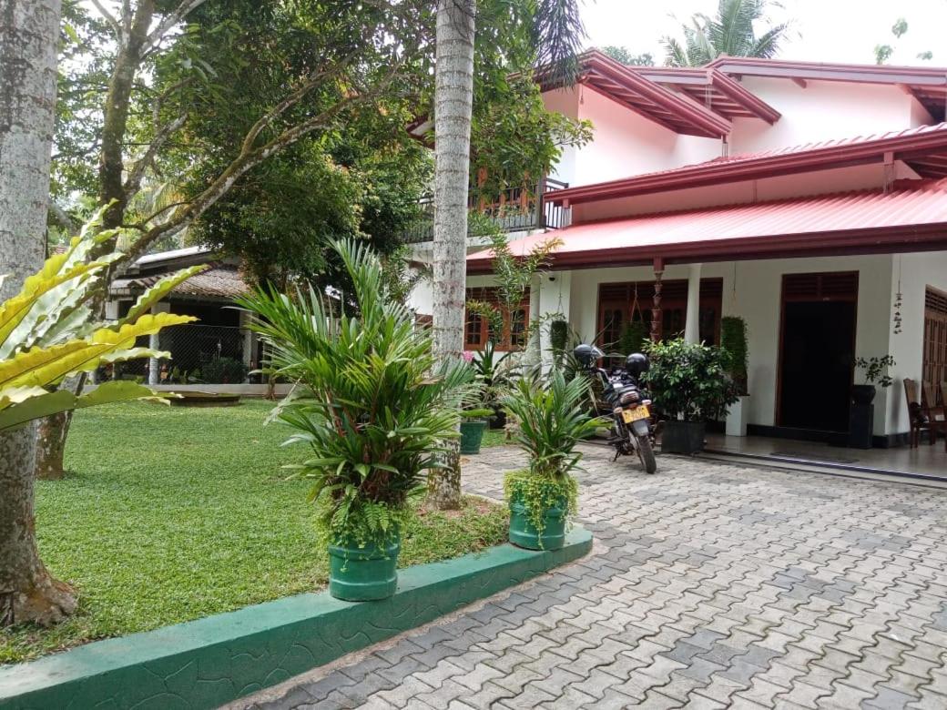 Photo 46