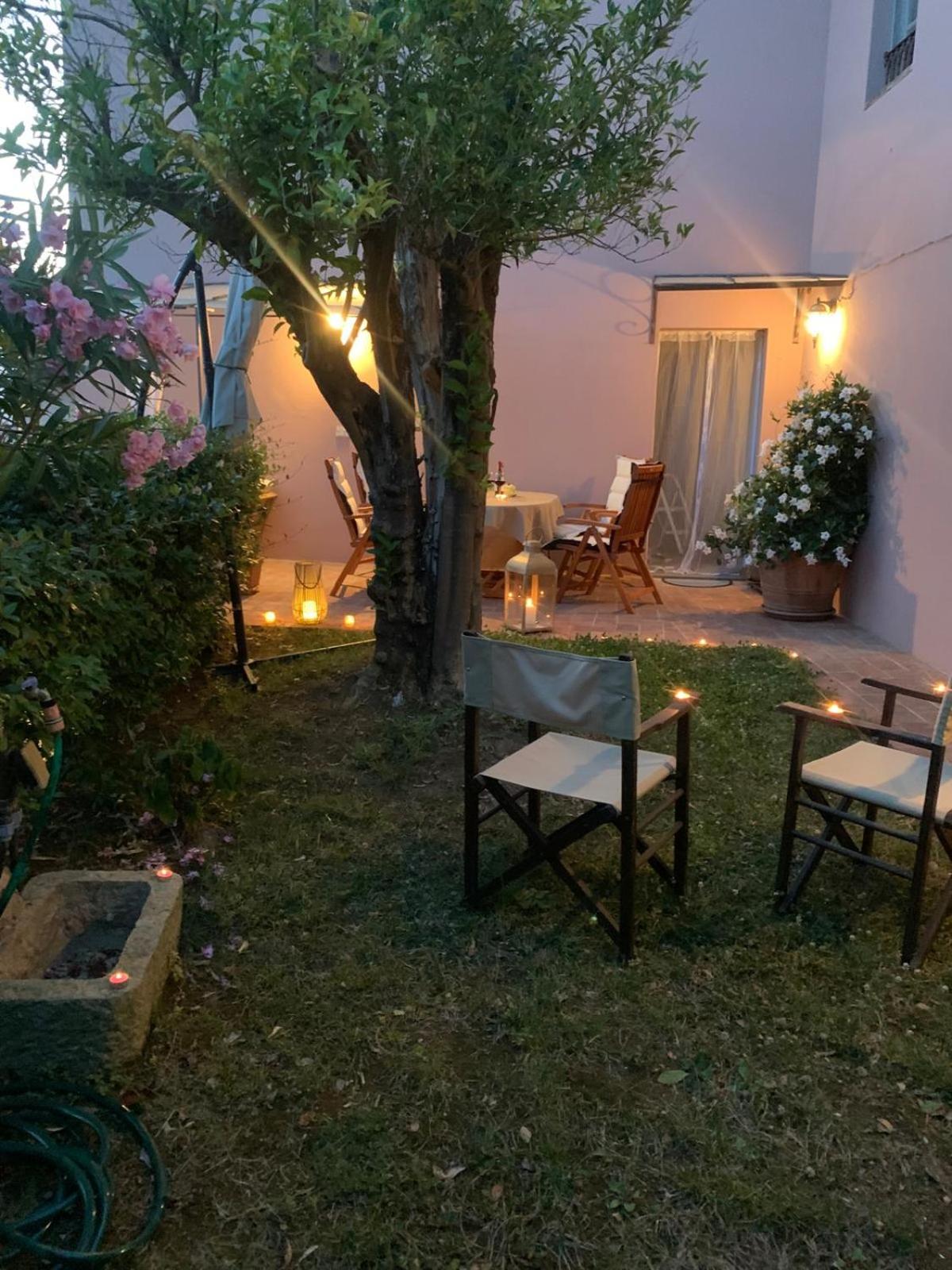 Il Grillo sull'Olivo photo 3